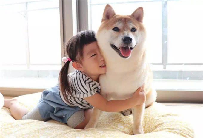 被自己家的狗爪子抓伤了需要打疫苗吗