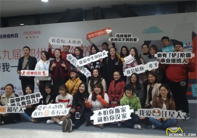免费领养,回归家庭!郑州10余只流浪猫狗求带走