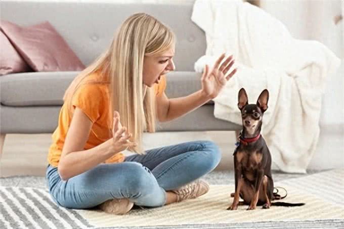 让爱犬不再恐惧：4个主人的行为让狗狗重拾自信