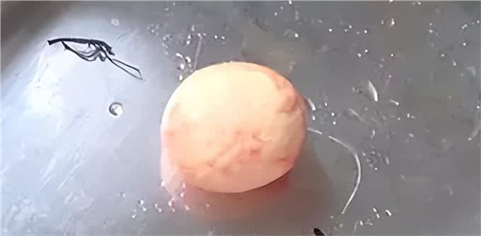 狗狗泌尿系统结石?别着急，看了就懂