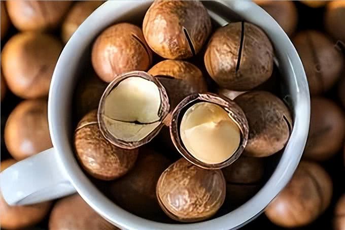 警告:这些食物不能喂狗,可能会让它随时丢命