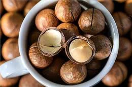 警告:这些食物不能喂狗，可能会让它随时丢命