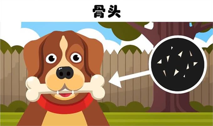 巧克力对狗狗来说有毒?盘点对狗狗来说可能很致命的6种食物