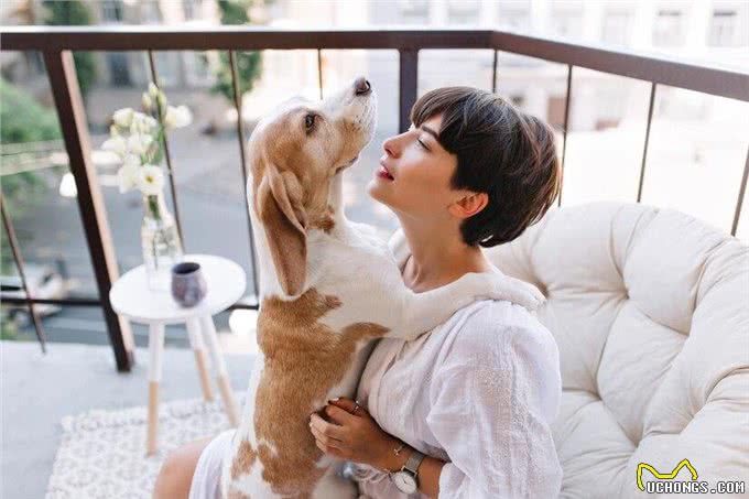 刚满月的小狗怎么喂养