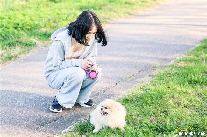 刚满月的小狗怎么喂养