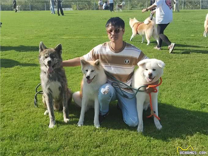 假日新生活|大富翁冒险、秋田犬聚会解锁人宠互动新玩法