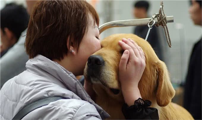 狗狗独自在家总捣乱，怎么办!