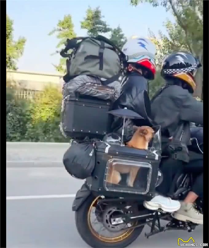 主人带着狗狗一起摩旅去拉萨，还给它打造了专属边箱，太有爱了吧