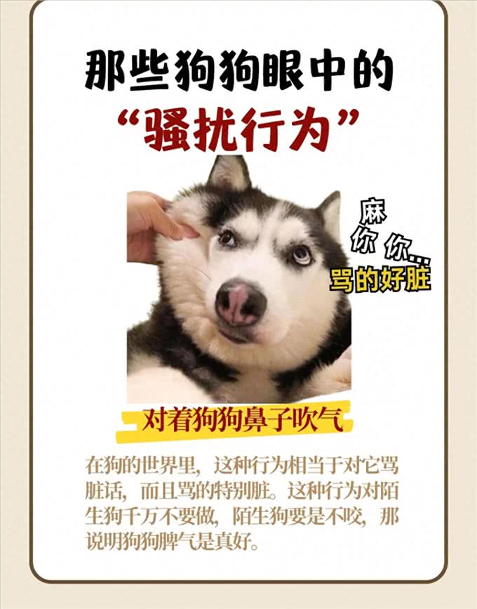 那些狗狗眼中的骚扰行为，你不会还不知道吧?