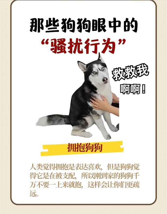 那些狗狗眼中的骚扰行为，你不会还不知道吧?