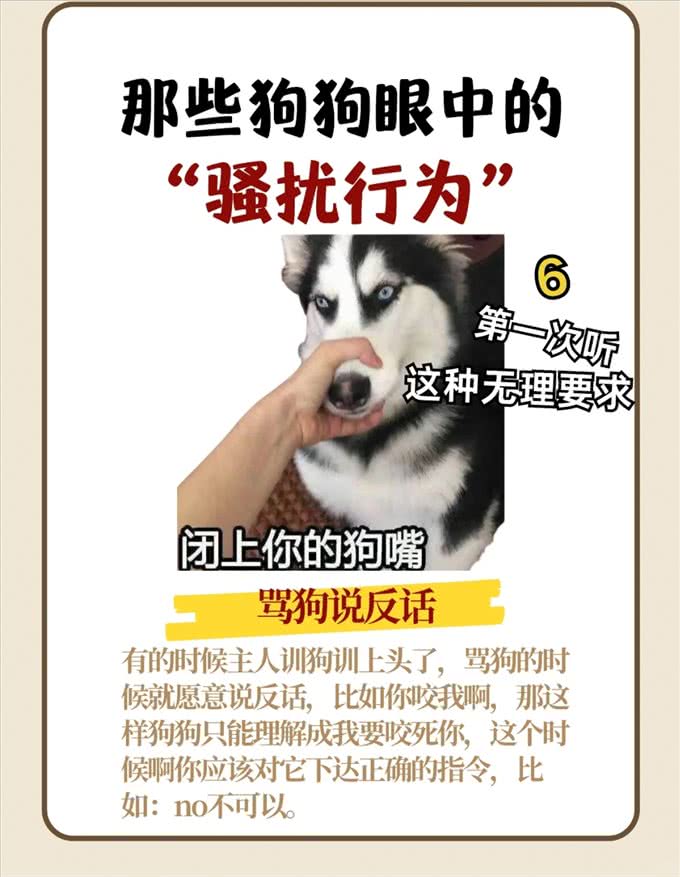 那些狗狗眼中的骚扰行为，你不会还不知道吧?