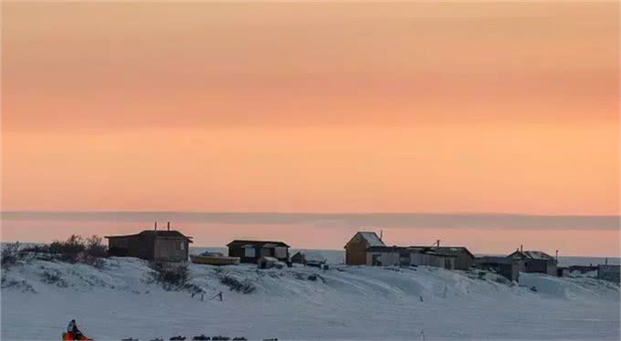 狗拉雪橇的狗到底是什么狗?