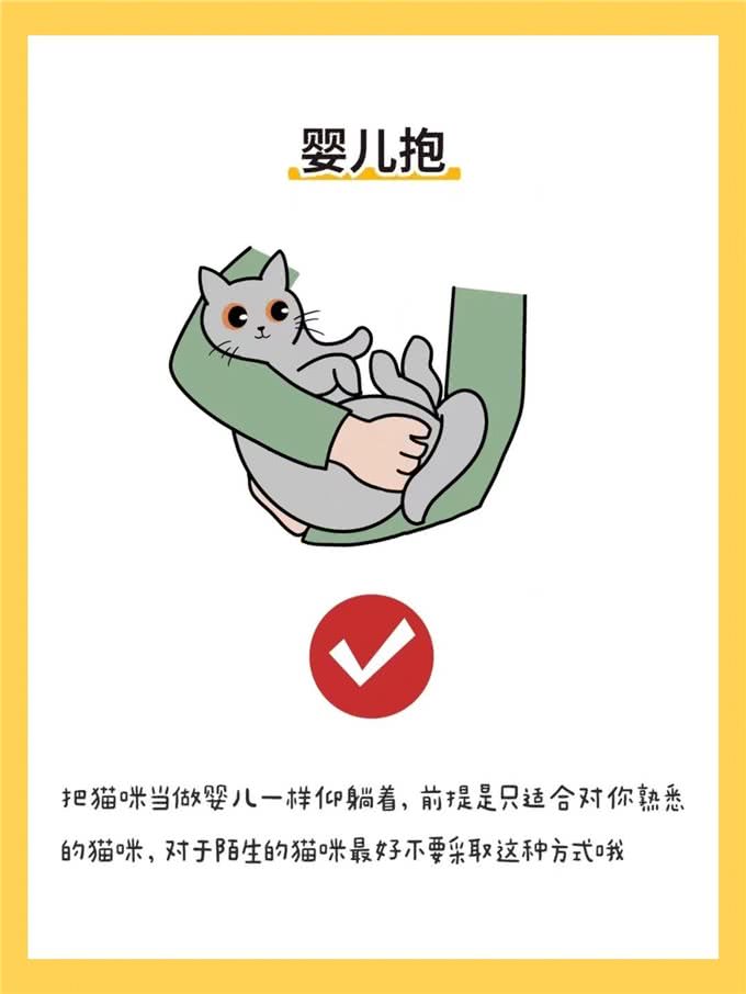 6种抱猫姿势解析，看看你抱对了吗?