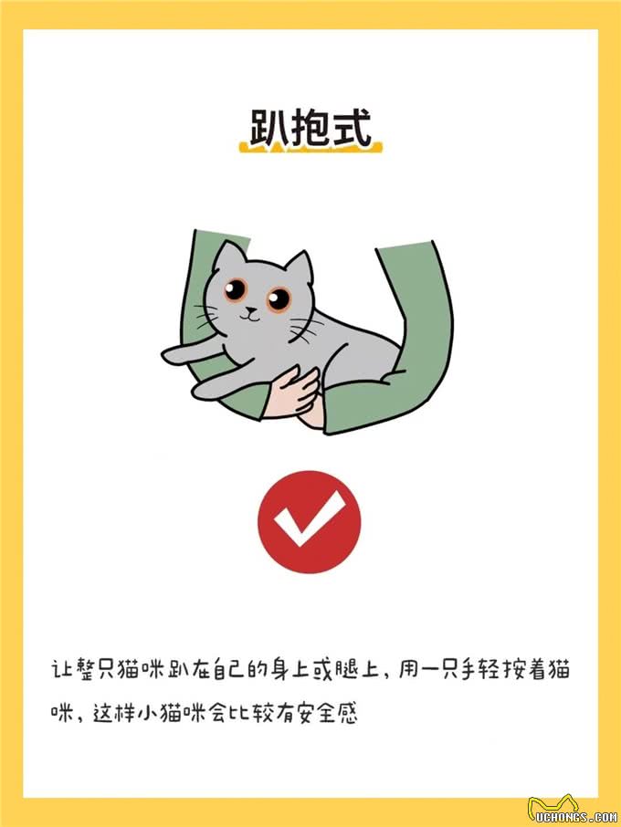 6种抱猫姿势解析，看看你抱对了吗?