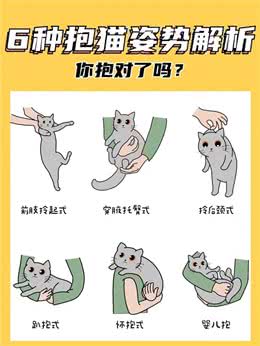 6种抱猫姿势解析，看看你抱对了吗?