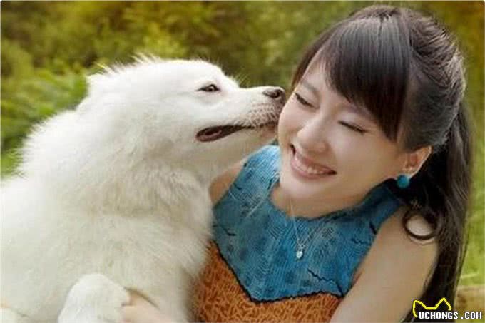 狗的祖先不止是狼，还有这种神秘的动物!