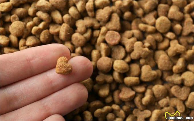 金毛是很暖,但不能接受这6大缺点,最好还是别养!