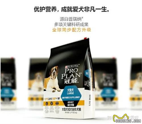性价比超高的国产狗粮，几款常见国产狗粮的科普，你家狗吃哪款