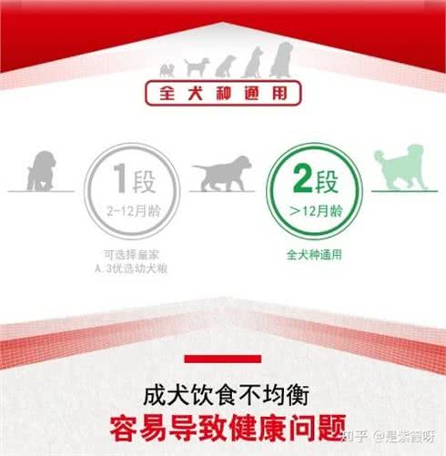 性价比超高的国产狗粮，几款常见国产狗粮的科普，你家狗吃哪款