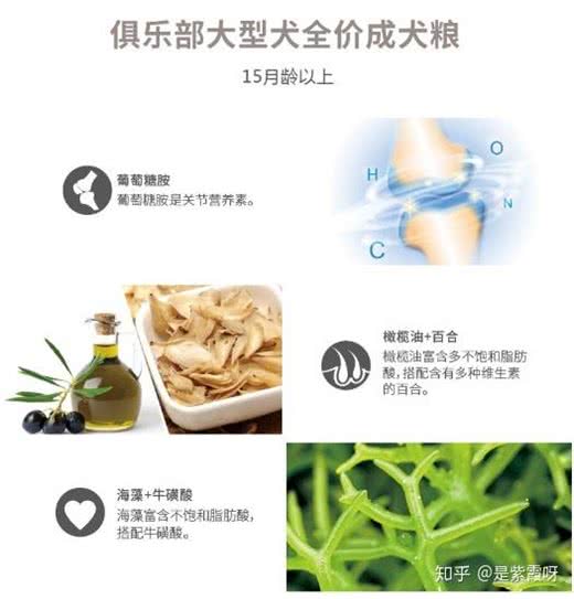 性价比超高的国产狗粮，几款常见国产狗粮的科普，你家狗吃哪款