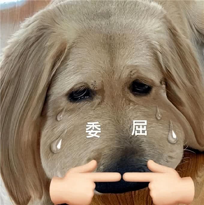 警醒:养狗害处比想象中大，别再神圣化了