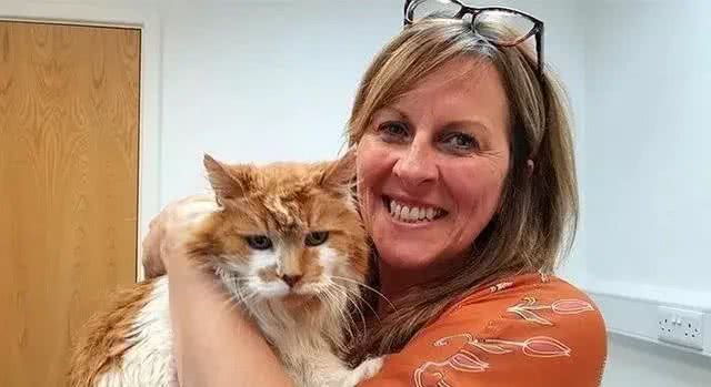 据说这9个品种的猫咪寿命最长，快来看看有没有你家的小可爱呢?