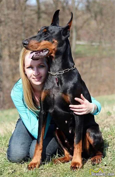 猛犬界的黑话你都掌握了吗?