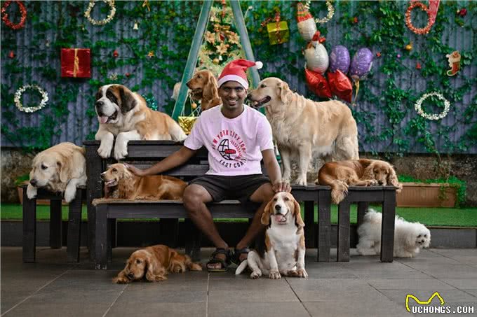 两只狗狗的高效工作，健身人必学技巧