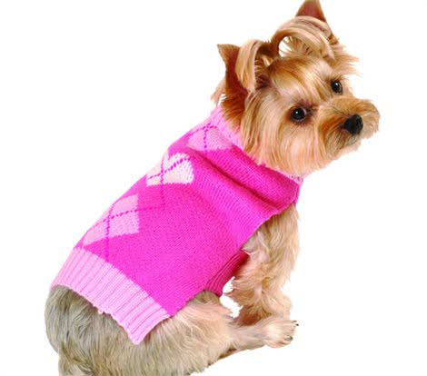 给狗狗穿衣服,是在帮它还是在害它?