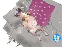 狗狗腹部异常的大，只是吃饱了撑的?铲屎官要注意可能是犬腹水