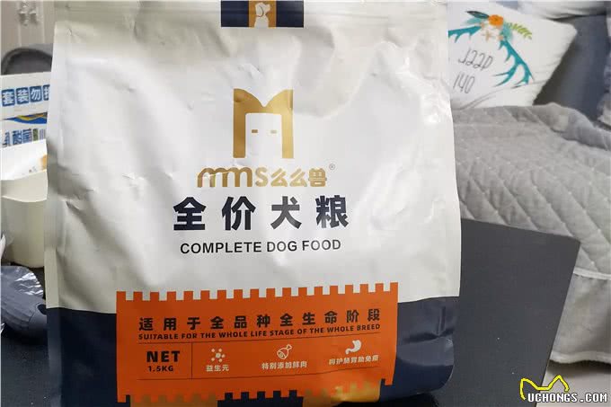 新手该如何养狗，教你这几招