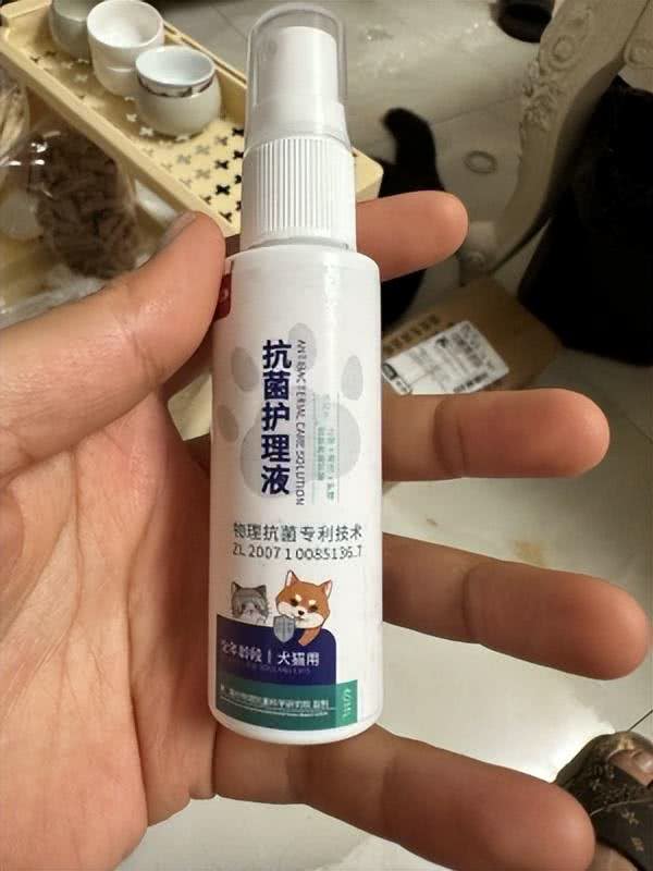 狗狗患上湿疹怎么办?如何才能做好预防及治疗?