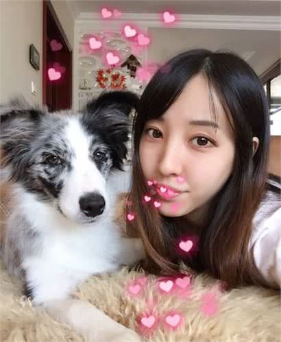 我的养宠心得：边牧VS比格大PK，谁才是真正的拆家王!