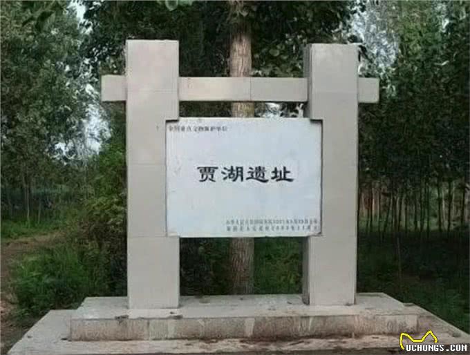 狗是什么时候被人类驯化的?古代狗的DNA测序揭示驯化历程