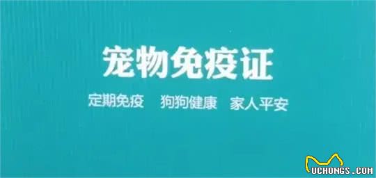 养狗新人如何判断狗狗细小，以及早期如何预防细小