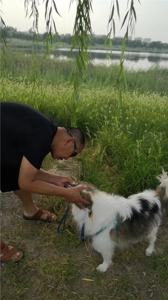 只有养狗人才体会到的心痛