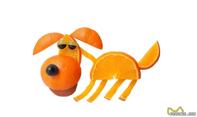 狗狗也可以吃水果,但是这5种水果千万要小心,正确选择很重要!