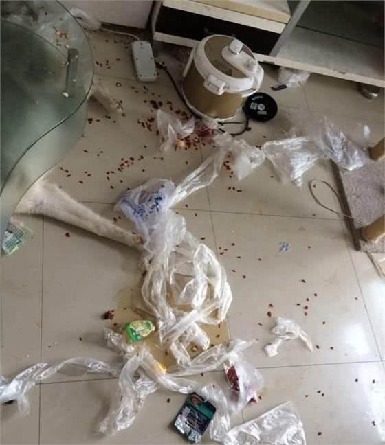 养了只哈士奇喜欢吃糖，回家一看这货自己开冰箱偷吃一大瓶蜂蜜!