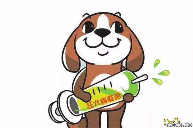 喂狗吃什么东西咬人不会有毒?