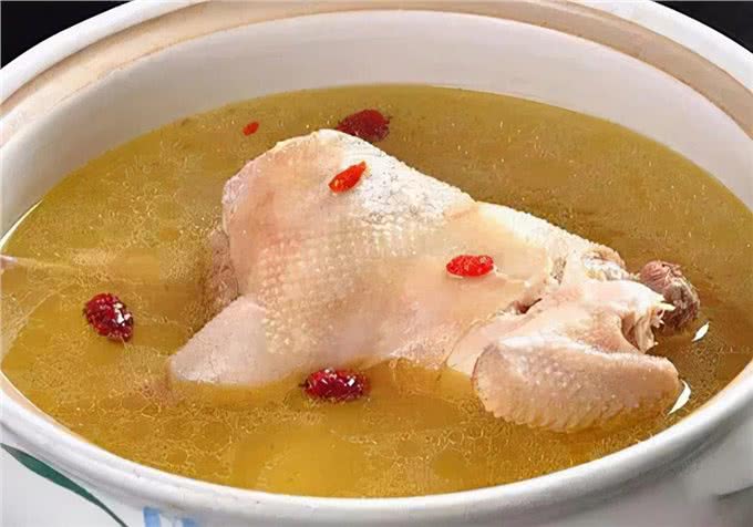 爱宠知识:狗感冒会自己好吗?需要多久呢?抵抗力差的护理方法