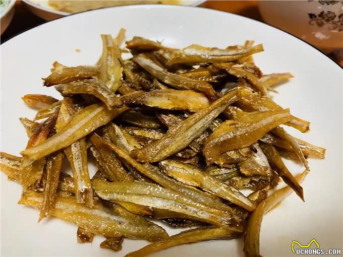 这5种零食，既可以给猫咪解馋，对猫咪的健康也有益处