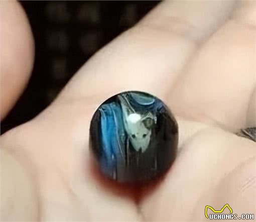 16岁狗狗离世，一周后主人发现它给自己留下了一份特殊的礼物