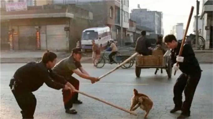 遇到恶犬怎么应对?内蒙古牧民教你如何保护自己