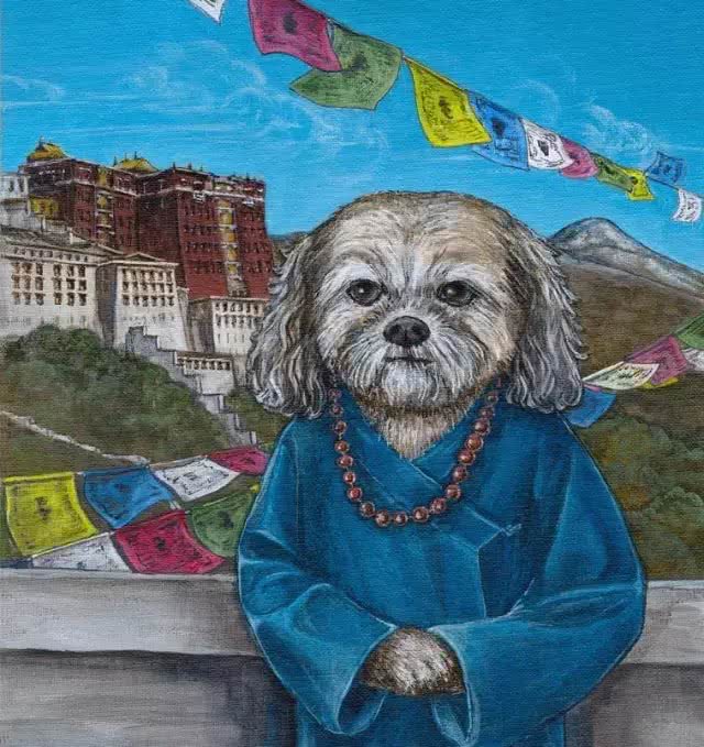 草原上的吉祥之犬—拉萨犬
