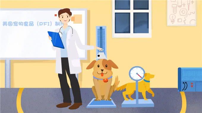 想知道现在呆萌的幼犬，长大后有多重?2招教你成功预测