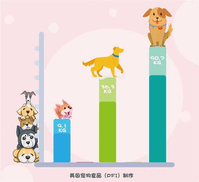想知道现在呆萌的幼犬，长大后有多重?2招教你成功预测