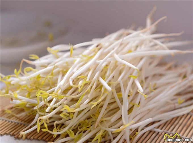 对泰迪来说，这几种食物不亚于砒霜!每种都很常见