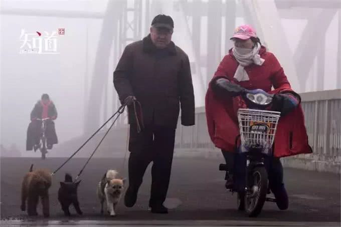 养狗者该有怎样的自我修养?