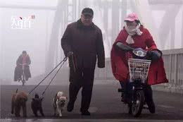 养狗者该有怎样的自我修养?