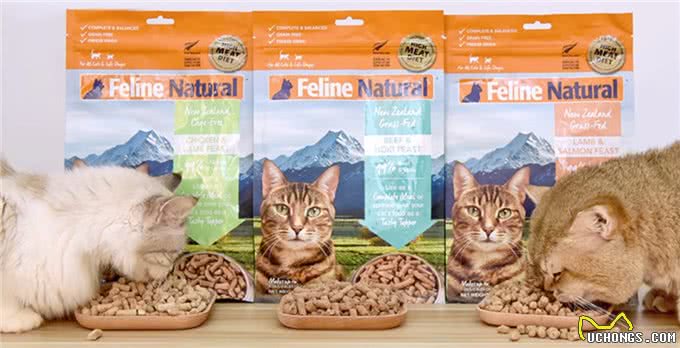 猫咪为什么掉毛?美毛亮毛的主食冻干牌子推荐